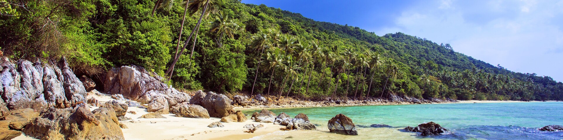 Una playa tropical con agua turquesa cristalina, orilla arenosa y exuberante vegetación verde.