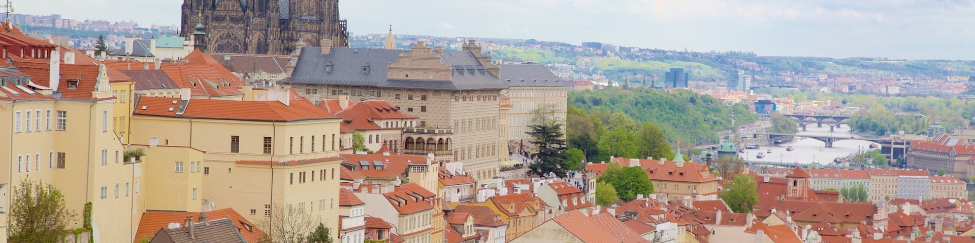 Hradcany Castle District featuring a city and landscape views