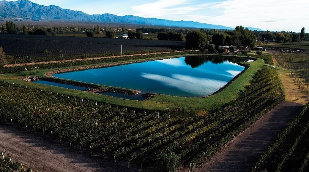 Amazing place. This lake reflects the sky in the morning. Shot from a drone with the Andes in the distance. Wonderful wines and an beautiful polo lodge #BVSBlue
