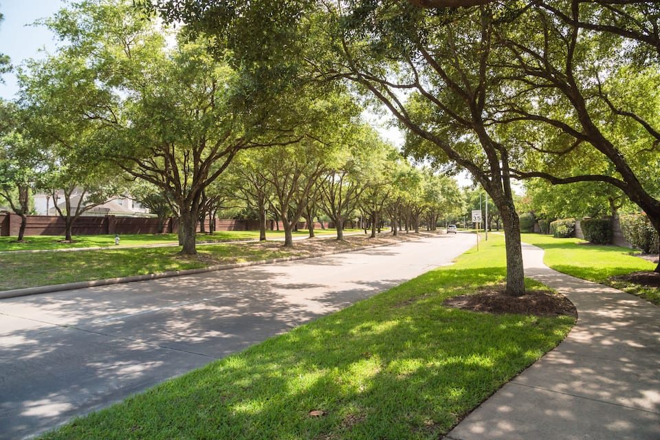 A tree-lined residential street with a sidewalk and houses in the background.