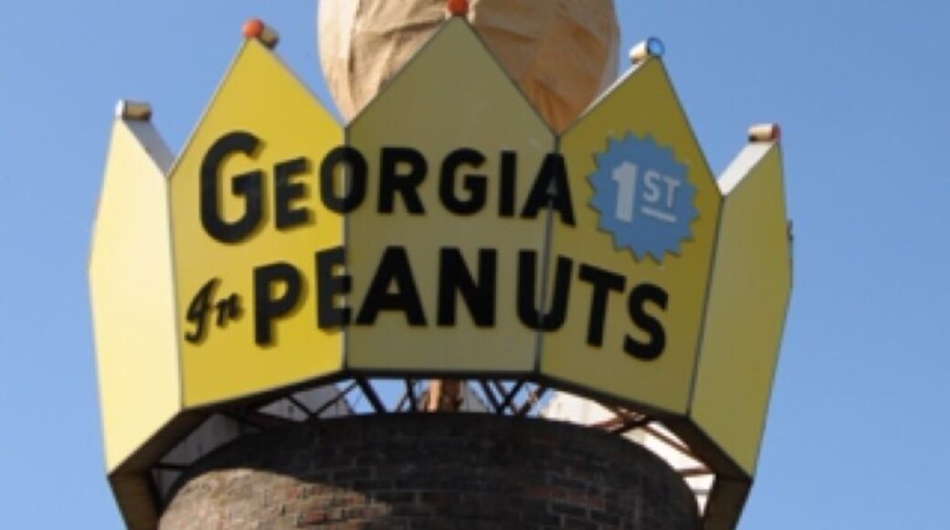 True Roadside Americana - The nut in Ashburn, ten feet in height, atop a fifteen foot high cylindrical brick structure and surrounded by a huge crown proclaiming, "Georgia 1st in Peanuts."
This lofty legume was erected in 1975.
and worth the #TroverDetour for an iconic photo or a selfie with the nut in the background.
You can see it from the highway making it a must see on your next #roadtrip through the area.
Located half a mile south of Exit 28 beside the southbound lanes of I-75. To visit, take Exit 28, then drive west and turn left on the first road and left at the service road to the peanut. Appropriately enough, Ashburn also has the world's largest peanut shelling plant.
#TroverDetour