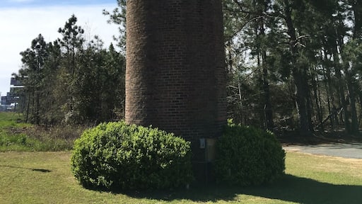 Had to stop for this one! 😂🥜 right off of 75 you can visit the sausage store next to the peanut!