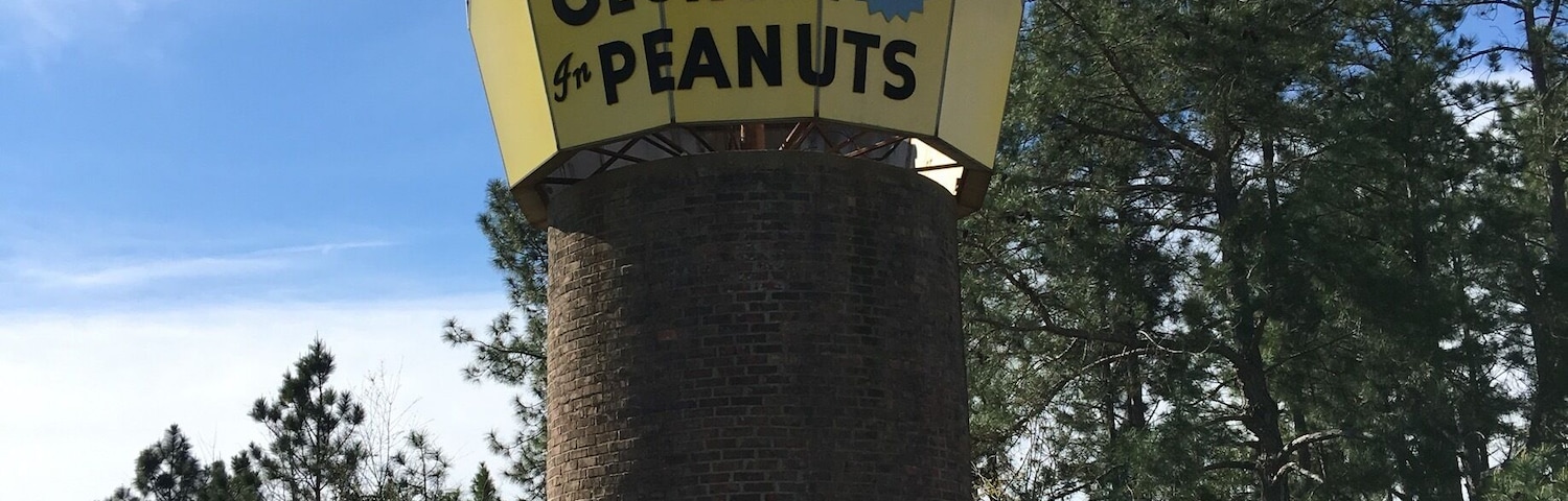 Had to stop for this one! 😂🥜 right off of 75 you can visit the sausage store next to the peanut!