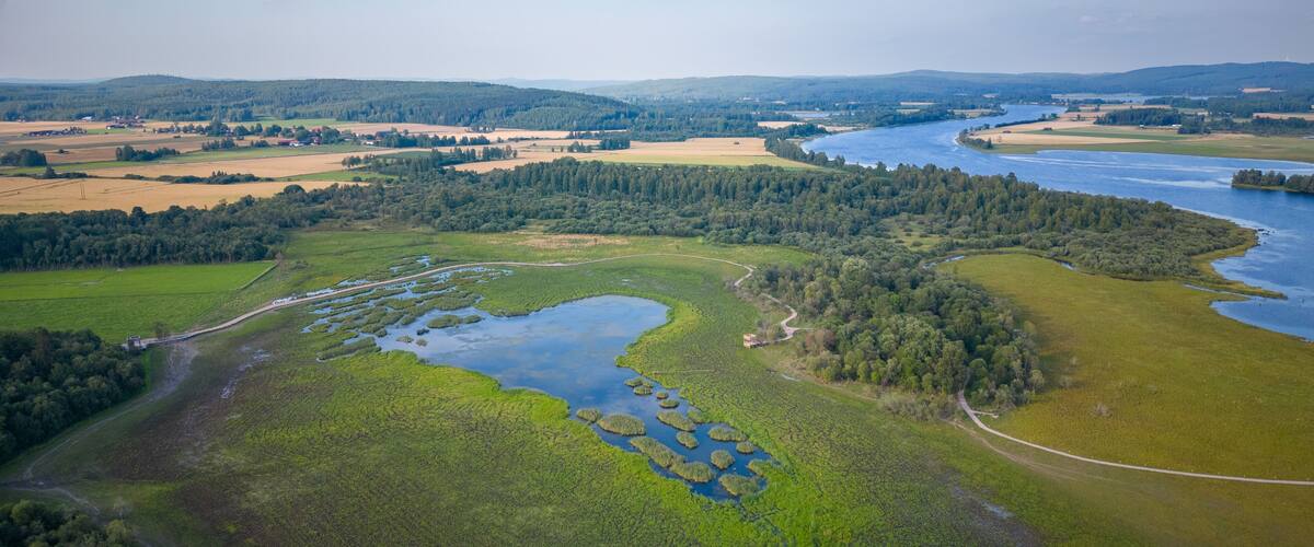 The municipal nature reserve Stadssjön is a green oasis in Hedemora