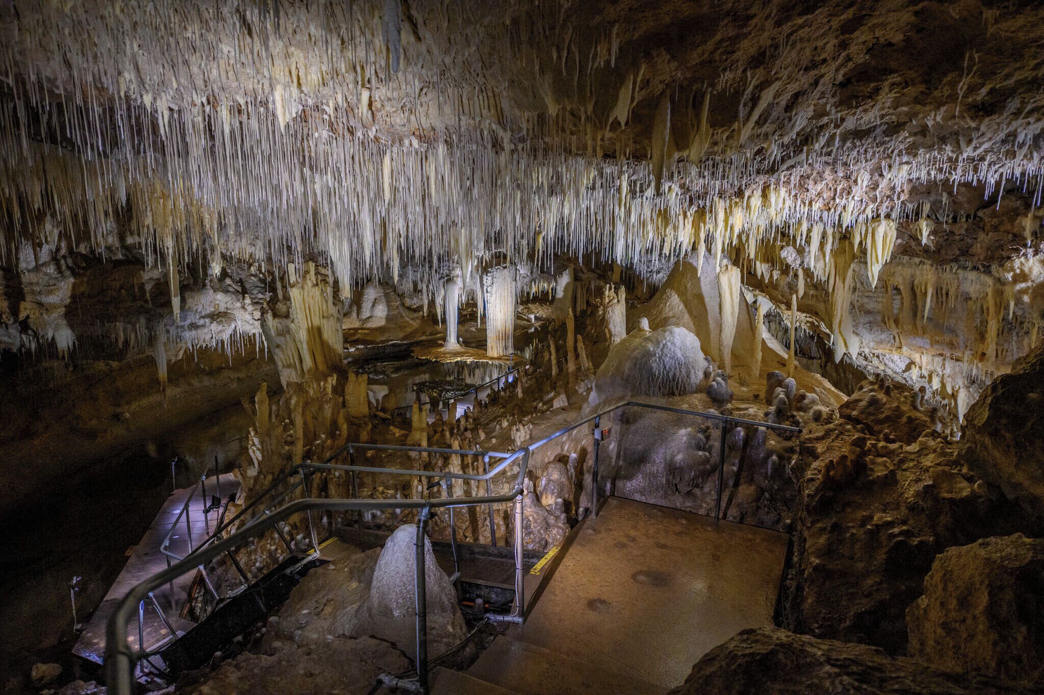 Another view of the Lake Cave showing the greater chamber and the suspended platform over the lake just to the left of centre of this photo.
