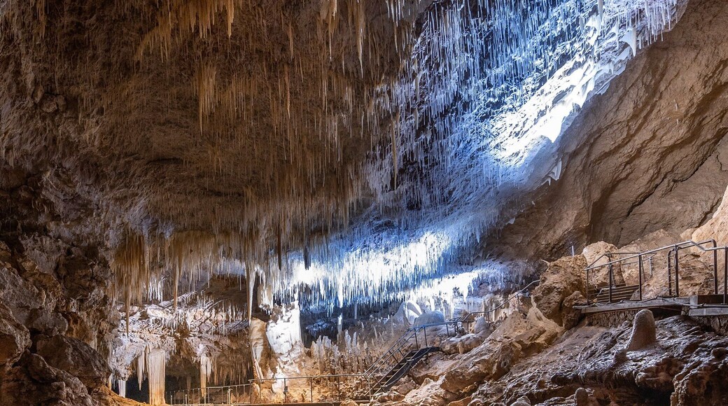 One of the most breathtaking caves I have ever visited!! If you are in the Margaret River area, then I HIGHLY recommend having a look.
#Australia #margaretriver #cave #westernaustralia #caves