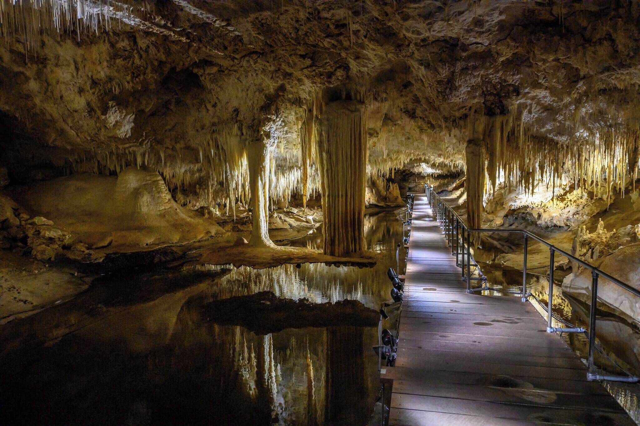 The cave has a very long descent (about 40m) before you enter the cave mouth. It also has an unusual feature, a suspended table hanging over the lake this is clearly seen in this photo just to the left of the walking platform.
Lake Cave is the most 'actively dripping' cave in the south west, and it's the only cave on the Leeuwin-Naturaliste Ridge that has a permanent lake.