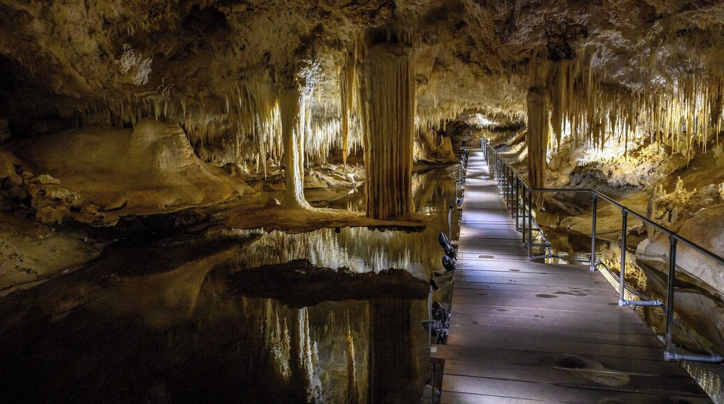 The cave has a very long descent (about 40m) before you enter the cave mouth. It also has an unusual feature, a suspended table hanging over the lake this is clearly seen in this photo just to the left of the walking platform.
Lake Cave is the most 'actively dripping' cave in the south west, and it's the only cave on the Leeuwin-Naturaliste Ridge that has a permanent lake.