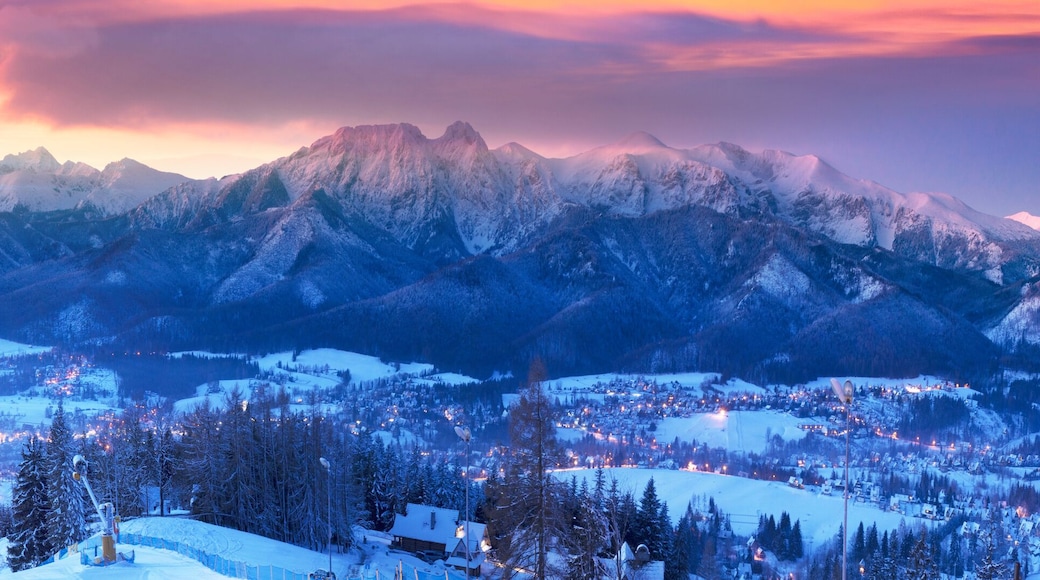 Zakopane at night in the light of the moon.