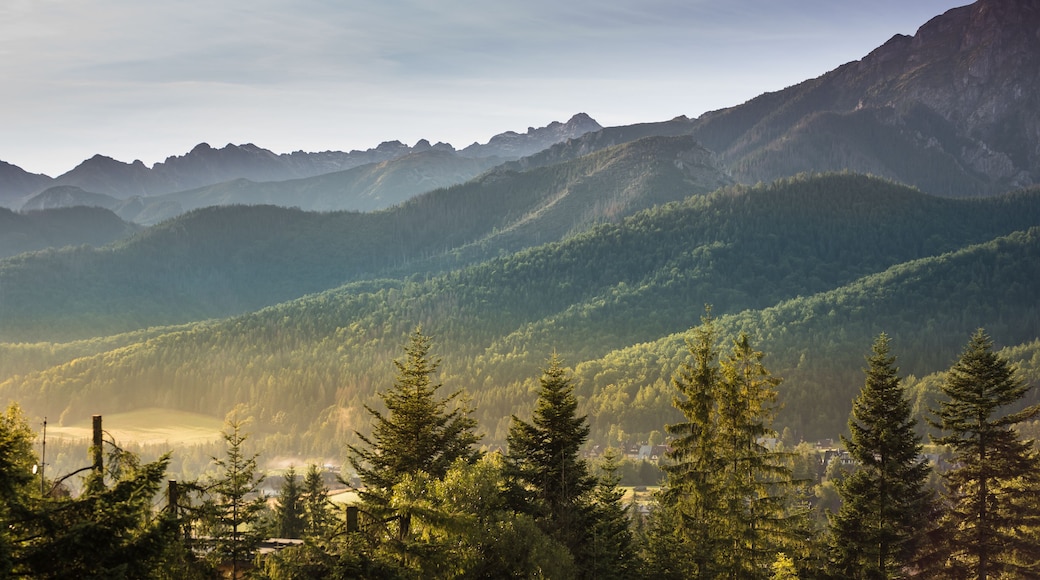 View from Koscielisko, Poland over to Tatra Mountains and green pine forest hills