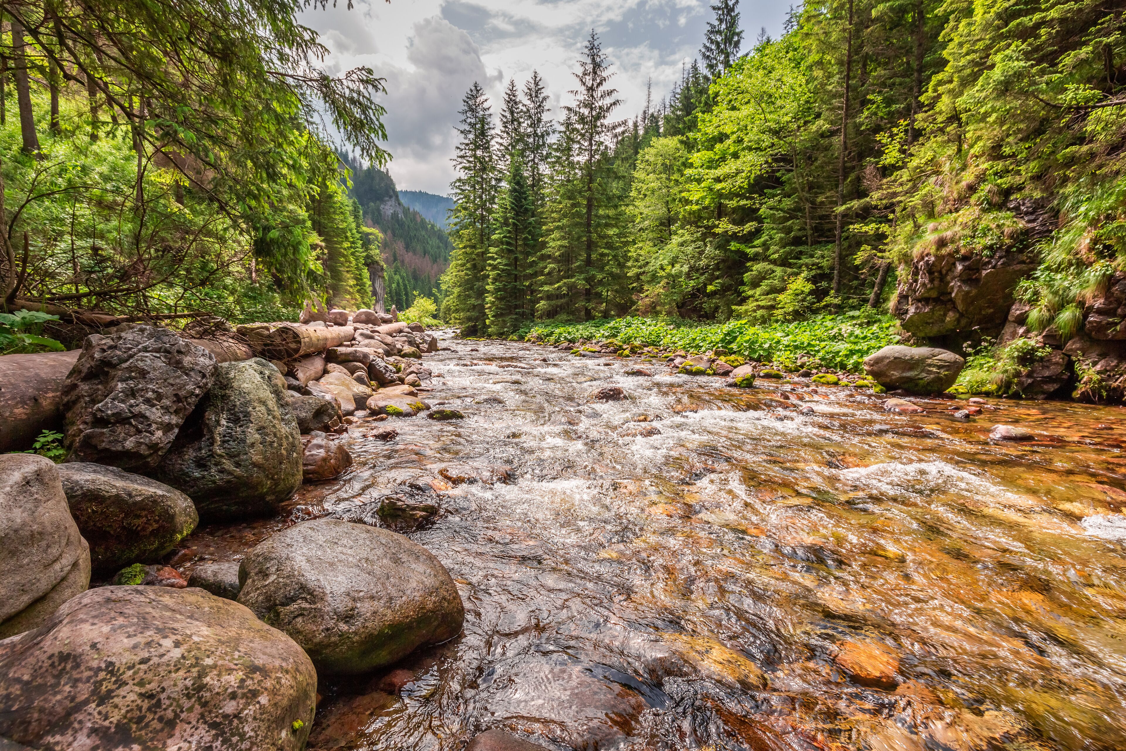 Small stream and big rocks in Koscieliska valley, Tatra mountains