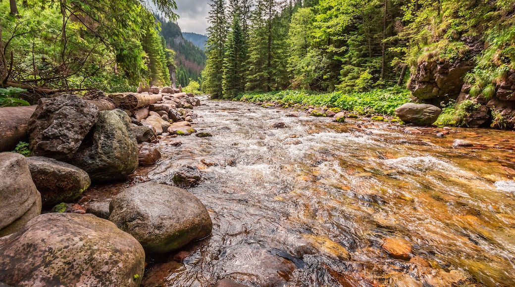 Small stream and big rocks in Koscieliska valley, Tatra mountains