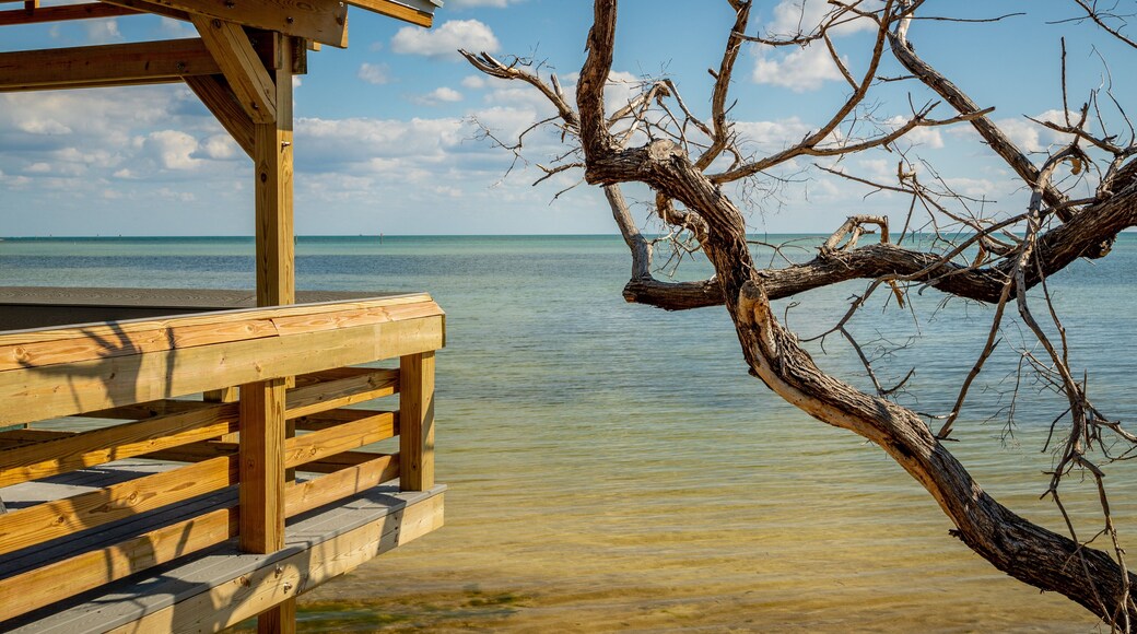 Anne\'s Beach which includes general coastal views