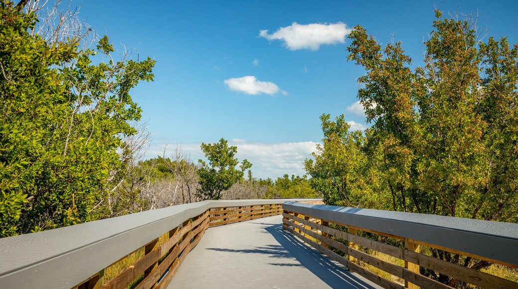 Anne\'s Beach which includes a bridge