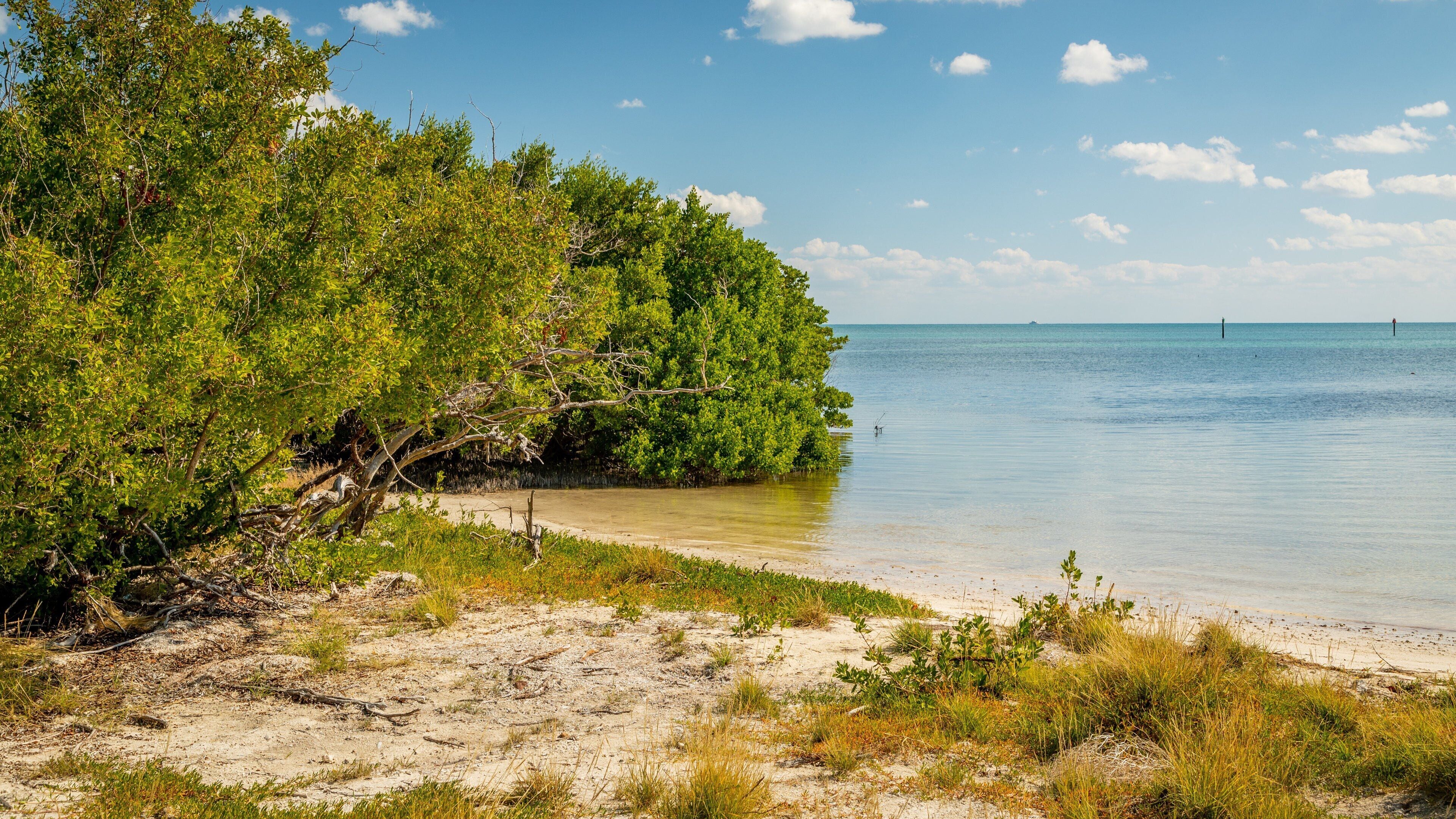 Anne\'s Beach featuring general coastal views