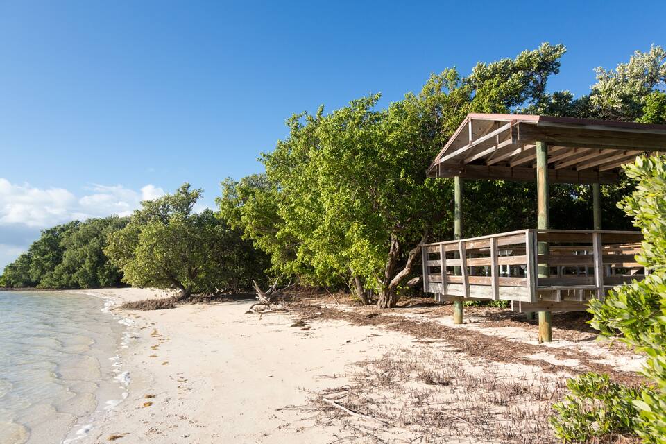 A beach with a wooden structure, clear blue sky, and dense green foliage.