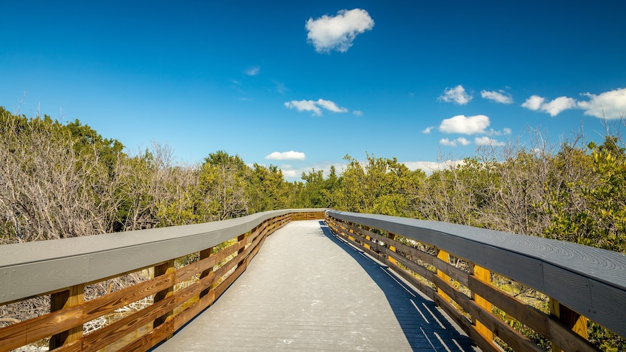 Anne\'s Beach featuring a bridge