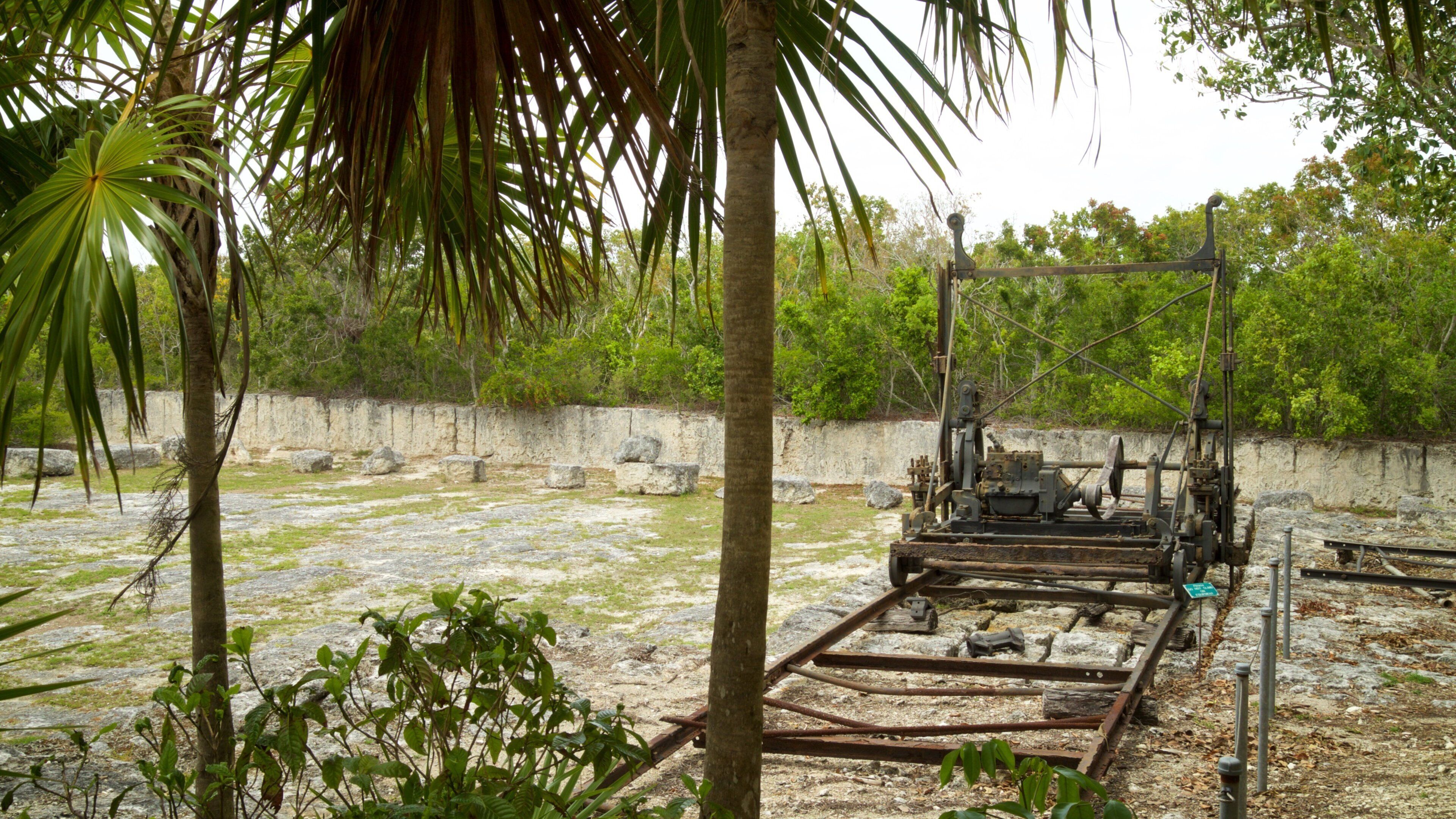 Windley Key Fossil Reef Geological State Park