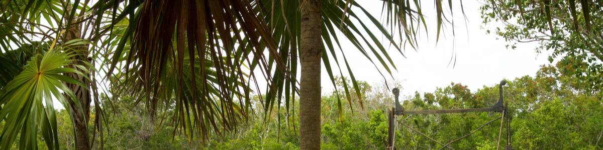 Windley Key Fossil Reef Geological State Park
