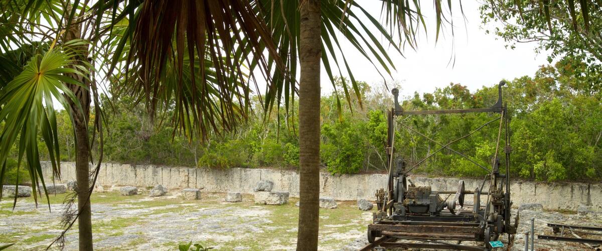Windley Key Fossil Reef Geological State Park