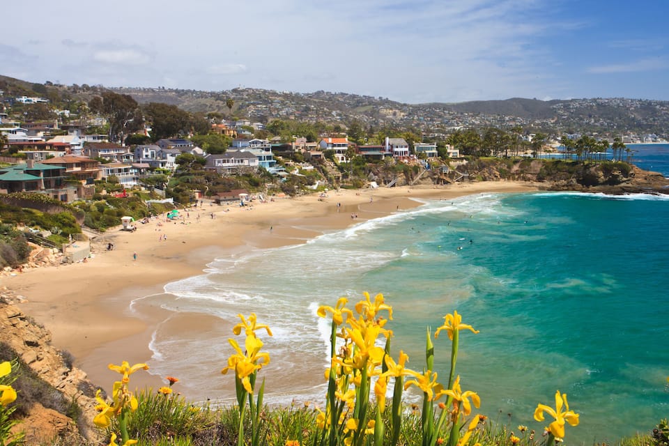 A coastal town with a sandy beach, clear turquoise waters, and yellow flowers in the foreground.