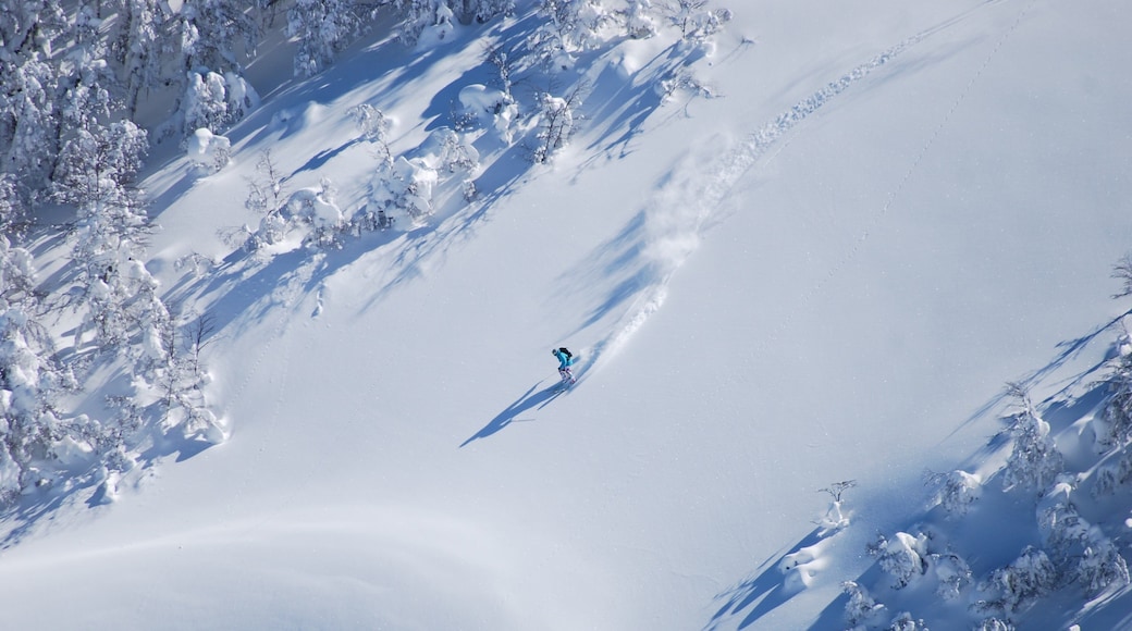 Cerro Bayo featuring snow skiing and snow