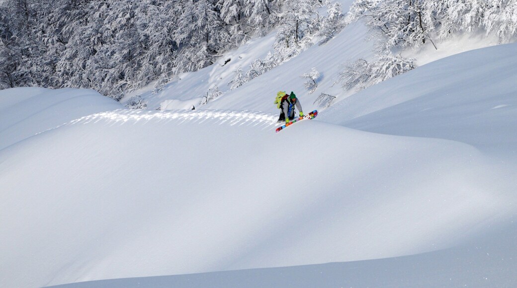 Cerro Bayo featuring snow shoeing and snow