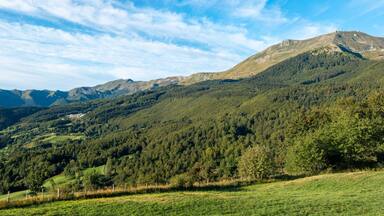 panorama of the mountains