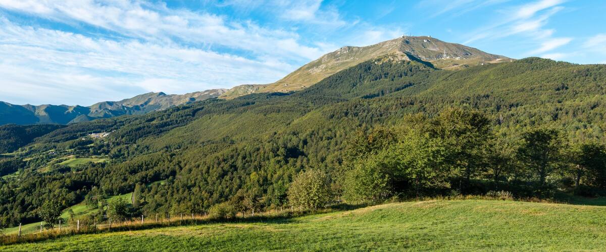 A mountain range with a prominent peak, lush green forests, and a clear blue sky.