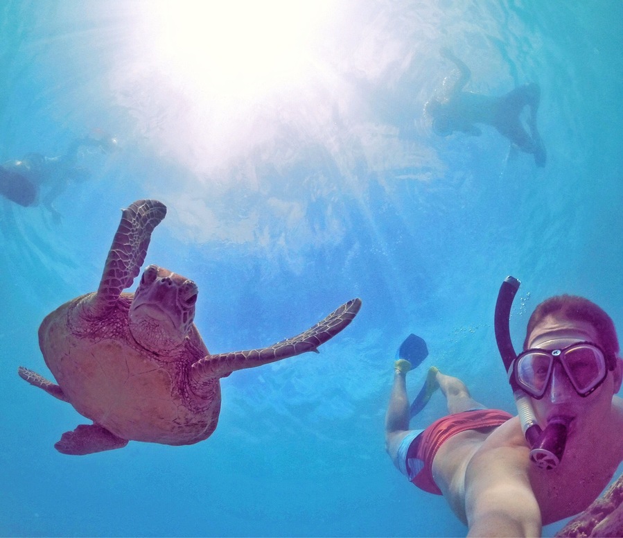 It's not a Tuesday without turtles! 🐢☀️🌴😂
#TurtleTuesday #GoProANZ #thisisqueensland #seeaustralia #lovethereef
#bestof5