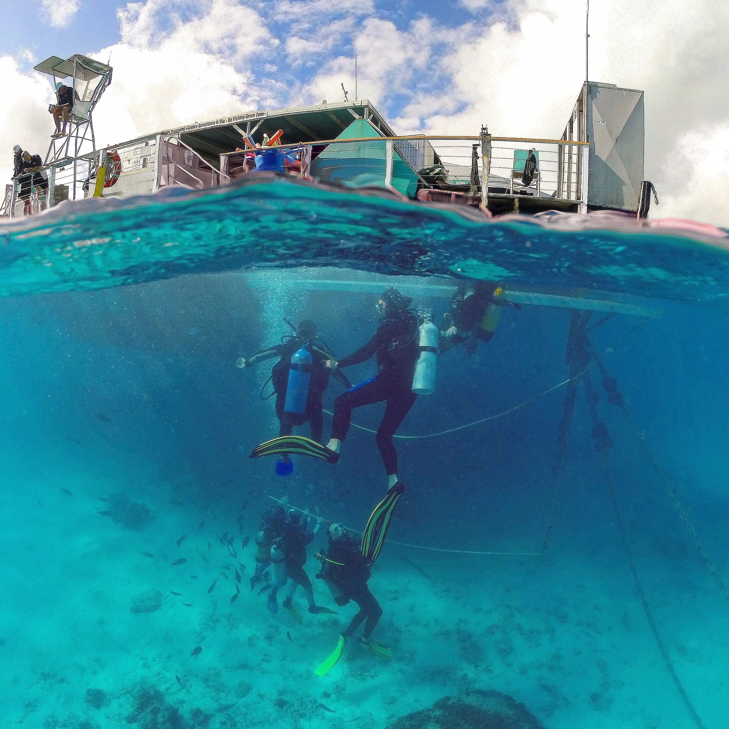 A diver underwater with a boat and a lifeguard tower in the background.
