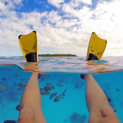 Weekend's were made for putting your feet up and relaxing! 🐠🐟 What better place to put your feet up than #LadyMusgraveIsland! ☀️🐠🐟🐢🌴😀
#visitgladstone #southerngreatbarrierreef #thisisqueensland #seeaustralia #gopro