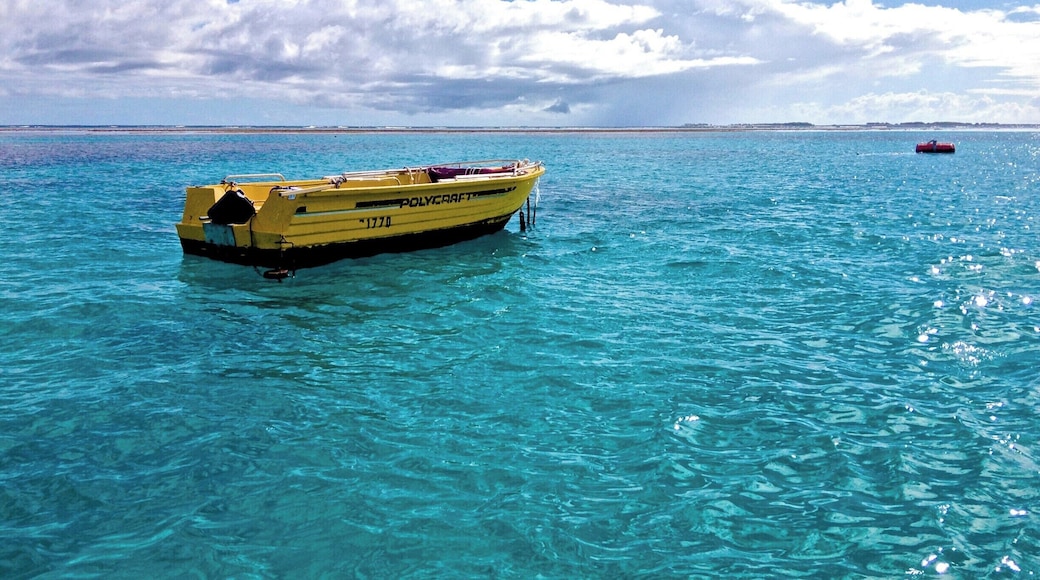 Blue skies and clear waters in the southern most part of Great Barrier Reef.
A yellow boat just chillin' around the Lady Musgrave Island, the southern most part of the Great Barrier Reef.