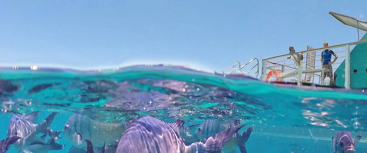 Happy Friday! 😀 A new weekend and a new adventure awaits! ☀️🐠🐟🐢🌴😀
#gopro #visitgladstone #thisisqueensland #seeaustralia