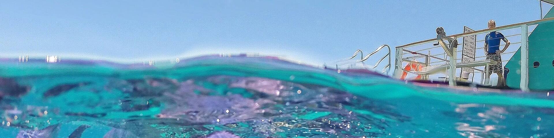 Happy Friday! 😀 A new weekend and a new adventure awaits! ☀️🐠🐟🐢🌴😀
#gopro #visitgladstone #thisisqueensland #seeaustralia