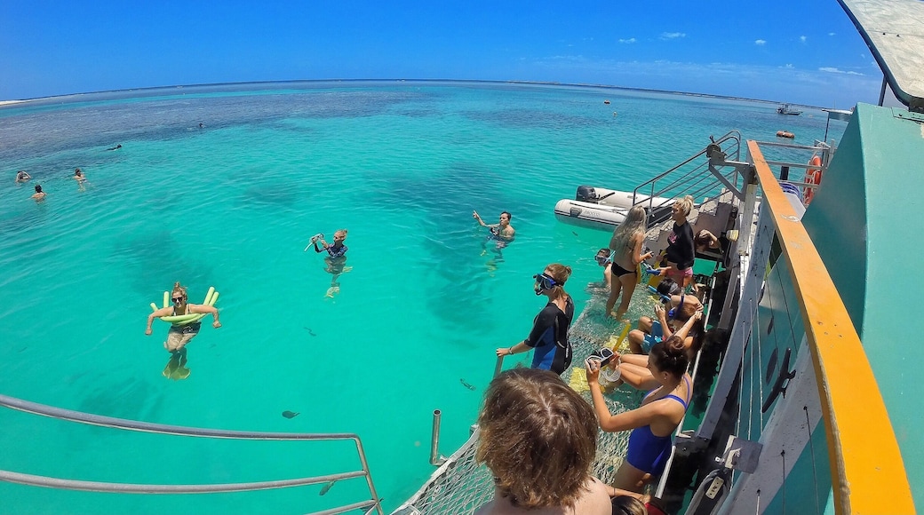 What better place to spend a weekend than on the @southerngreatbarrierreef! The view from the pontoon looking out over the Lady Musgrave Island lagoon! ☀️🐠🐟🌴😀
#gladstoneregion #ladymusgravecruises #ladymusgraveisland #underwaterinstameet #southerngreatbarrierreef #thisisqueensland #seeaustralia #GoProANZ