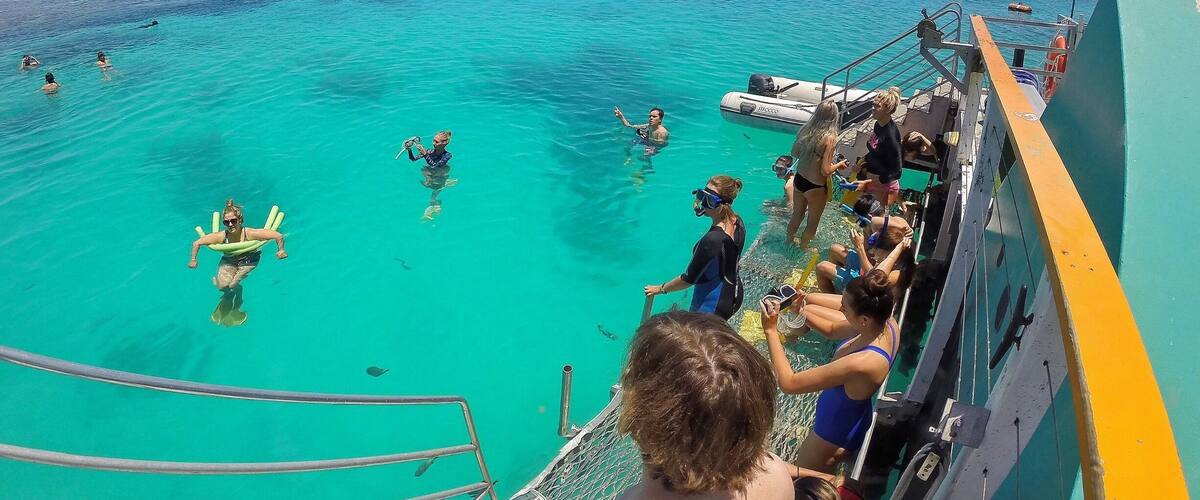 A group of people swimming in clear turquoise water, with a boat docked nearby.