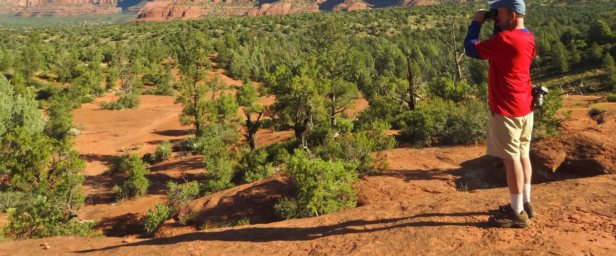 A person taking a photo of a desert landscape with red rock formations and green vegetation.