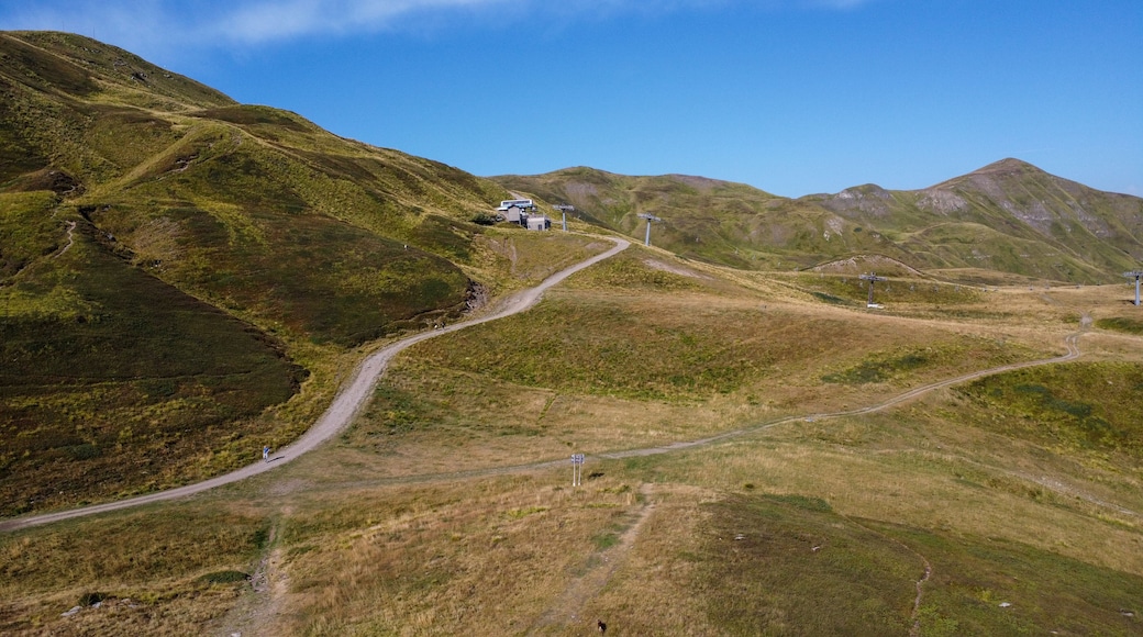 ヴィディチアティコ