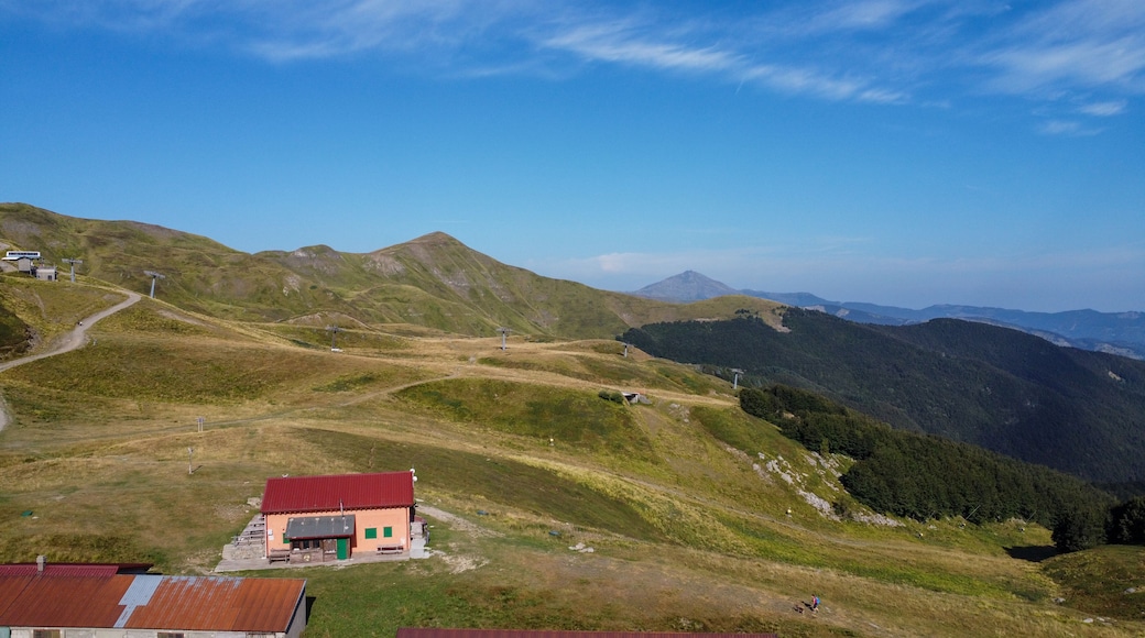 ヴィディチアティコ