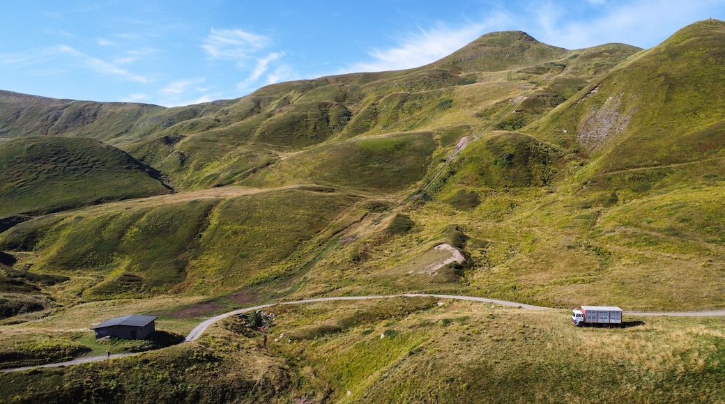 ヴィディチアティコ