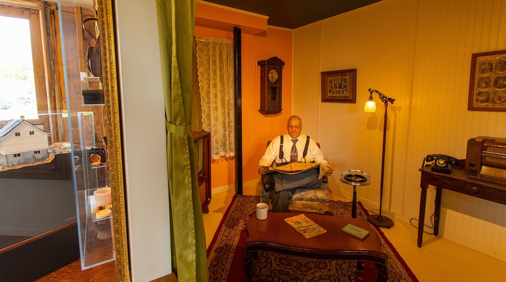 Petite Maison Blanche Museum showing interior views