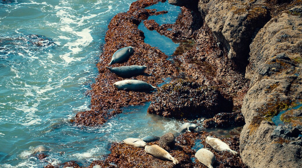 ์ฐ ๋น์น ๊ตญ๋ฆฝ ์ผ์ ๋ณดํธ๊ตฌ์ญ