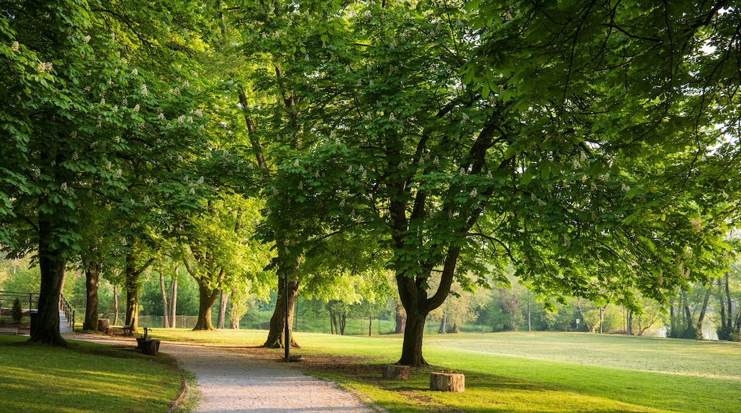 Parque de Garden Grove