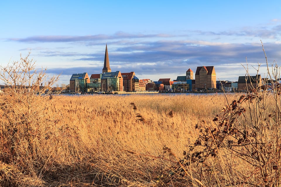 A city skyline with a prominent church spire, modern buildings, and a field of tall grasses in the foreground.