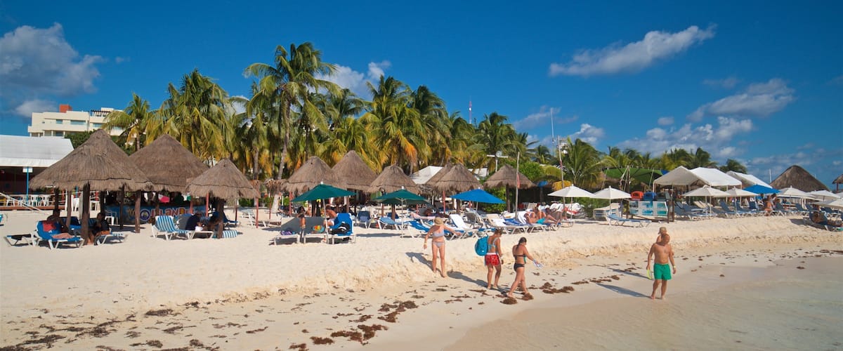 A beach with thatched umbrellas, palm trees, and people relaxing on sun loungers.