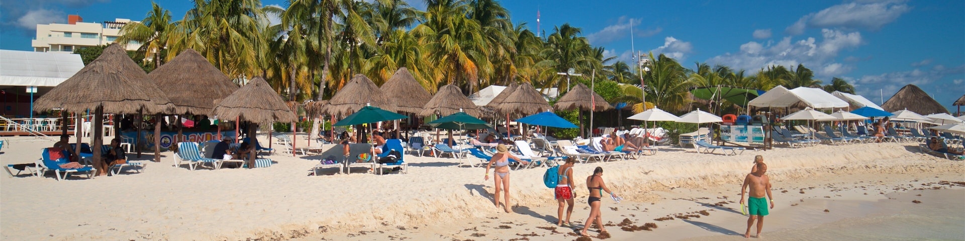 A beach with thatched umbrellas, palm trees, and people relaxing on sun loungers.