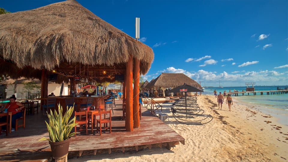 Norte Beach which includes a beach bar, general coastal views and tropical scenes