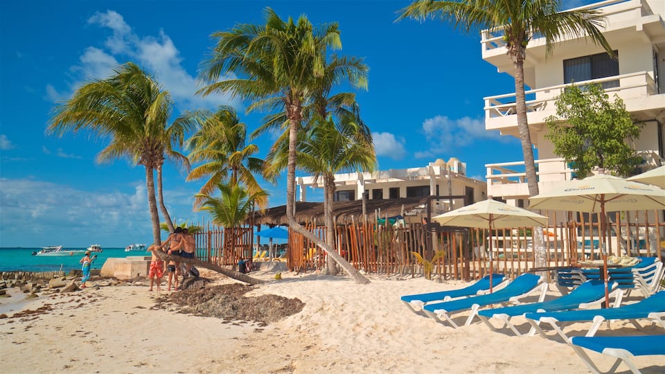 Una playa con palmeras, sillas de descanso y un edificio con balcones.