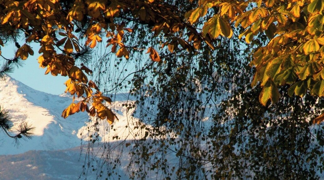 Campanile di Borgata Stella